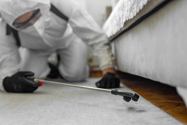 Professional Cockroach Control technician working in Bethel Acres, OK