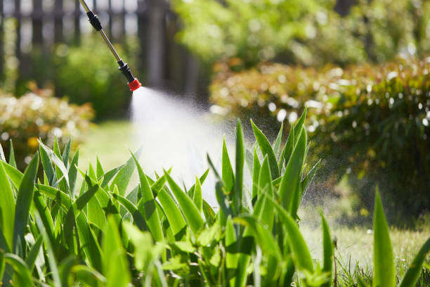 24/7 Emergency Cockroach Control experts in Bethel Acres, OK