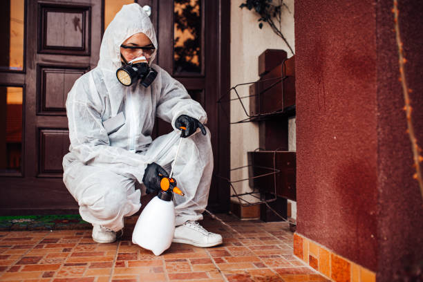 Reliable Cockroach Control contractor in Bethel Acres, OK by Nex Pest Control