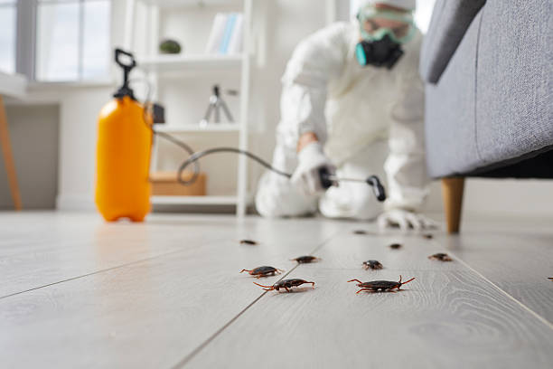 Trusted Termite Control service in Bethel Acres, OK - Nex Pest Control