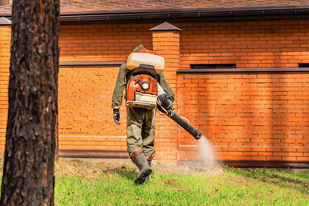 Trusted Mosquito Control service in Bethel Acres, OK - Nex Pest Control